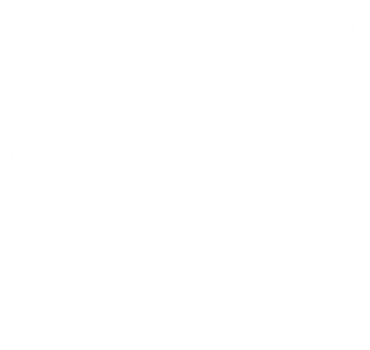 Gutter Cleaning