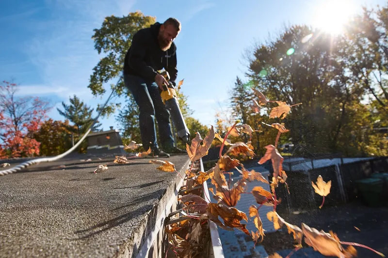 Gutter cleaning — clearing oak and maple leaves from a gutter